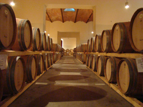 Le cellier Ricasoli actuel