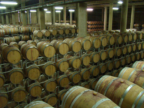 Nouveau cellier Ricasoli